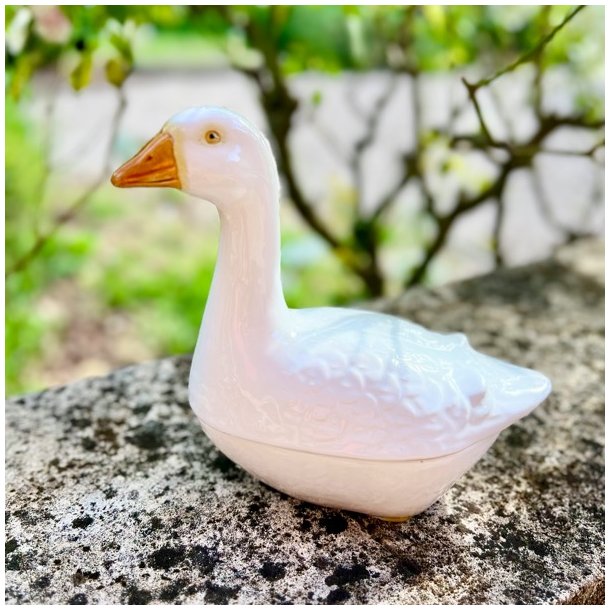 Fransk patform - Michel Caugant, hvid gs