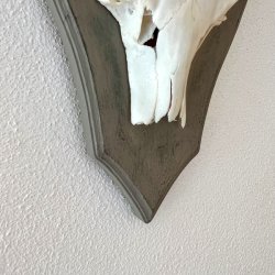 Bukkeopsats p malet plade - jagttrof, gr m/patina