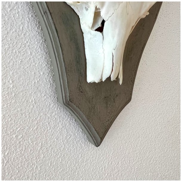 Bukkeopsats p malet plade - jagttrof, gr m/patina