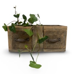 Wald trkasse - dobbelt 