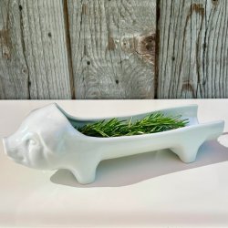 Plsegris - fransk, hvid 