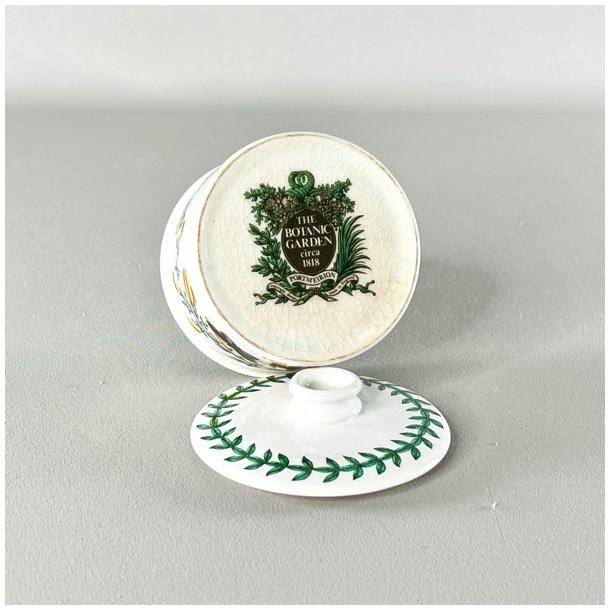 Lgkrukke - Portmeirion Botanic Garden 