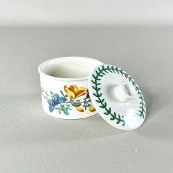 Lgkrukke - Portmeirion Botanic Garden 