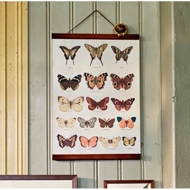 Plakatholder med magneter - 2 strrelser