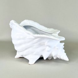 Konkylie potte - stor XL