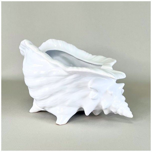 Konkylie potte - stor XL