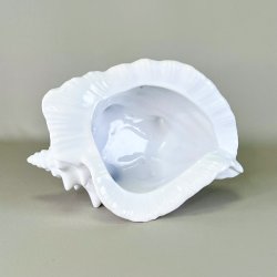 Konkylie potte - stor XL