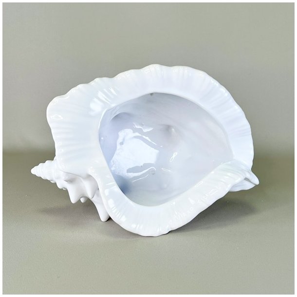 Konkylie potte - stor XL