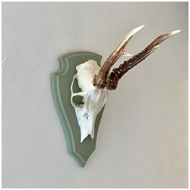 Bukkeopsats p malet plade - jagttrof, grn 