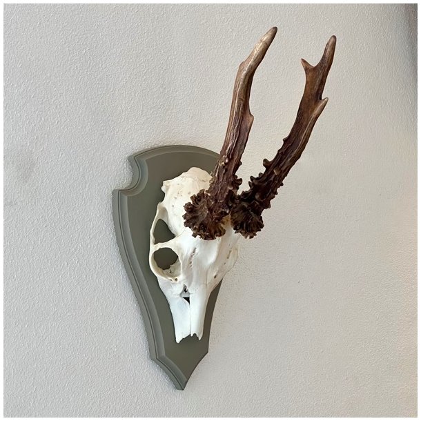 Bukkeopsats p malet plade - jagttrof