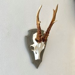 Bukkeopsats p malet plade - jagttrof, gr m/patina