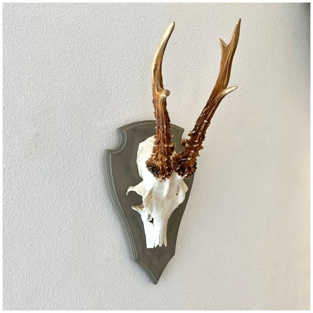 Bukkeopsats p malet plade - jagttrof, gr m/patina