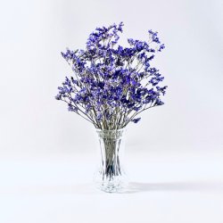 Glasvaser - retro og vintage, assorterede 