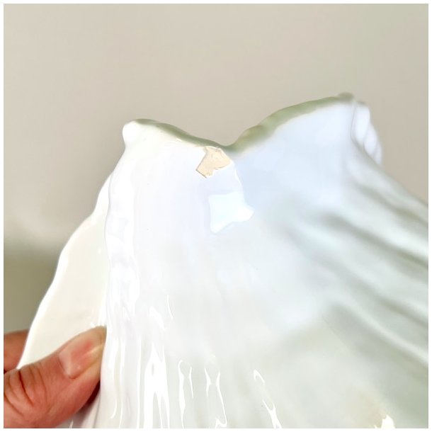 Konkylie potte - stor XL