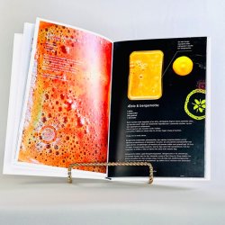 Safter - S�ren Ejlersen og Umahro Cadogan