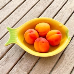 Lille fiskeskl - Jean-Pierre Tallec