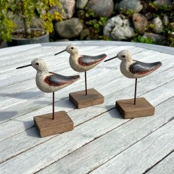 Lille fugl i drivtmmer 