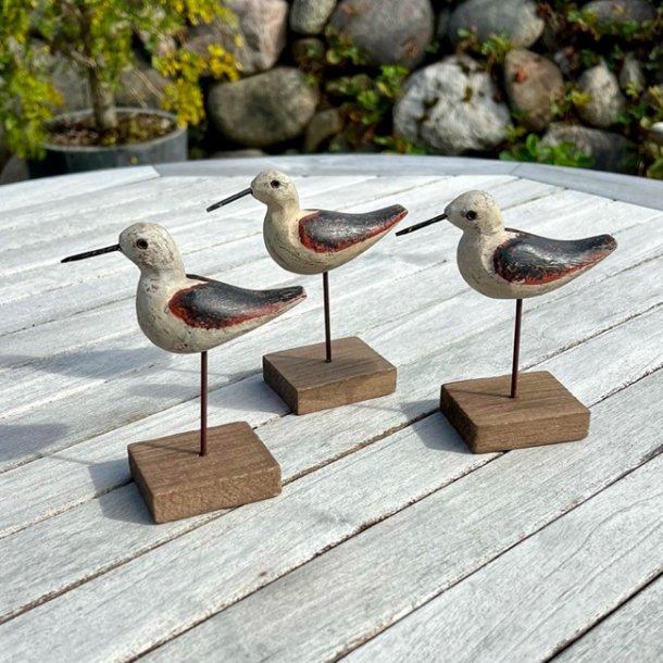 Lille fugl i drivtmmer 