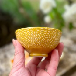 Lille tapasskl - gul