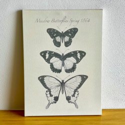 Canvas med sommerfugle (2 stk)