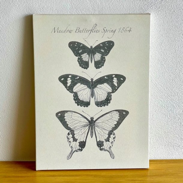 Canvas med sommerfugle (2 stk)