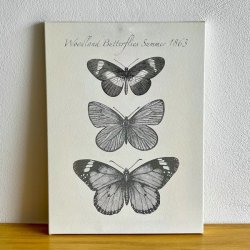 Canvas med sommerfugle (2 stk)