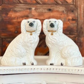 Staffordshire smandshunde 