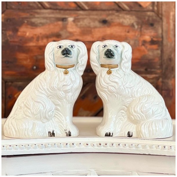 Staffordshire smandshunde 