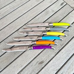 Franske steakknive i holder - Laguiole, friske farver 