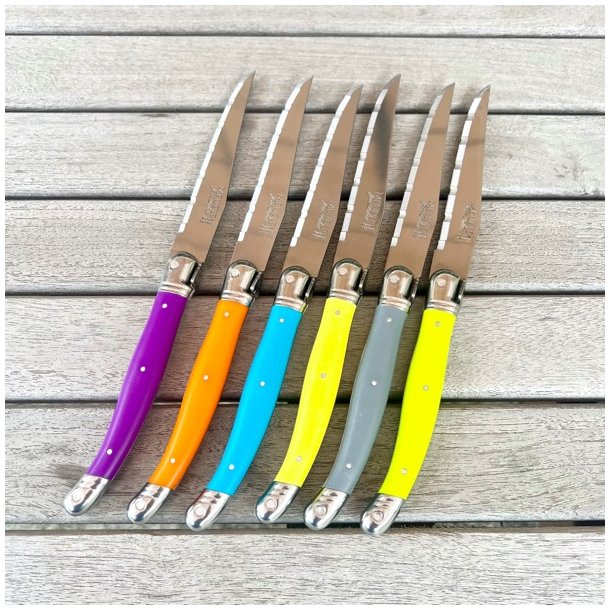 Franske steakknive i holder - Laguiole, friske farver 