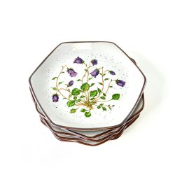 Kage- frokosttallerken (7 stk samlet) - vild blomst p� stent�j