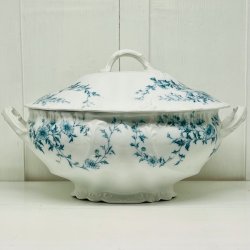 Terrin - stor, med lg fra Burgess &amp; Leigh