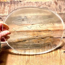 Fiskefad - matteret glas med 3 fisk  