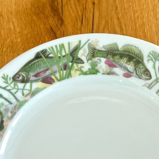 Fisketallerken med kant af fisk - Colditz