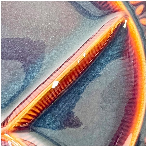 Fonduetallerkener (5 stk) - brun