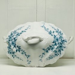 Terrin - stor, med lg fra Burgess &amp; Leigh