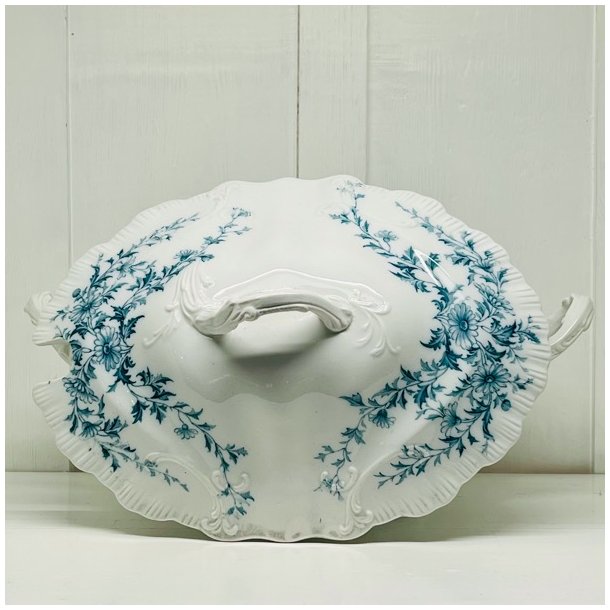 Terrin - stor, med lg fra Burgess &amp; Leigh