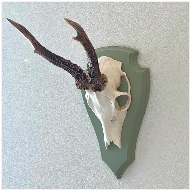 Bukkeopsats p malet plade - jagttrof, grn 