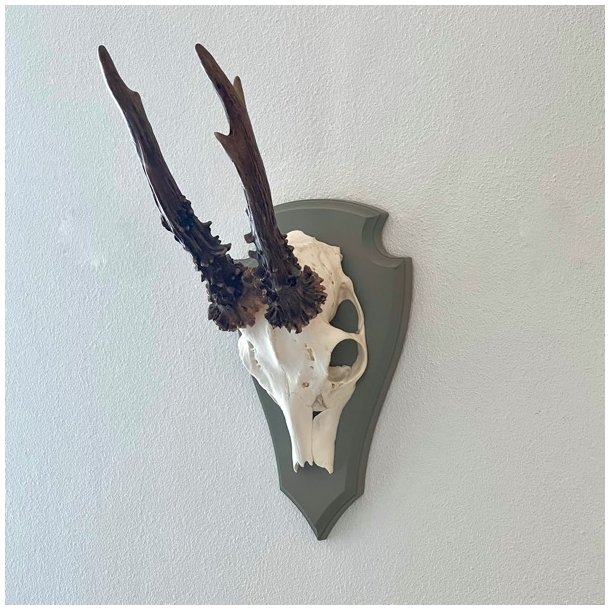 Bukkeopsats p malet plade - jagttrof