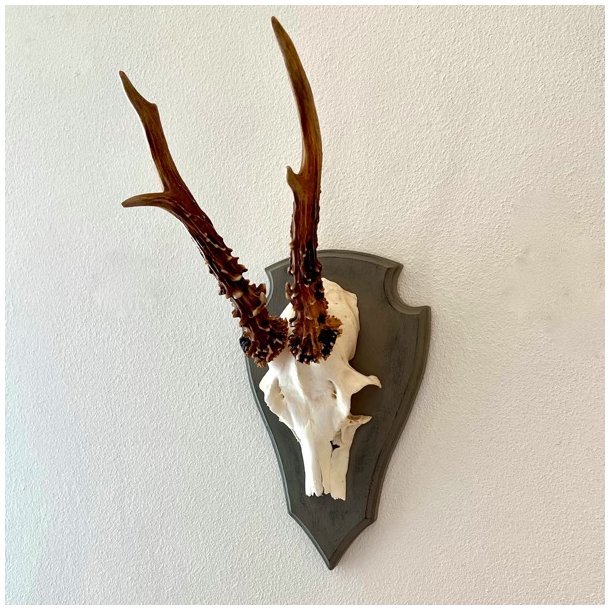 Bukkeopsats p malet plade - jagttrof, gr m/patina