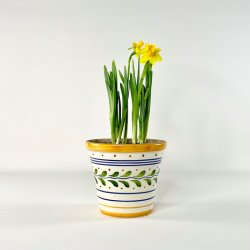 Urtepotte Knabstrup �15 cm