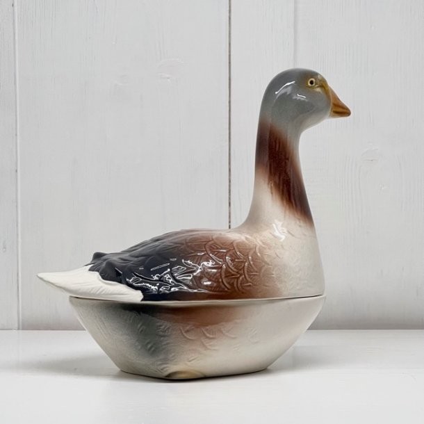 Fransk pateform Michel Caugant gr gs