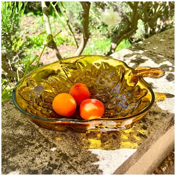 Stor glasskl - drue, ravfarvet 