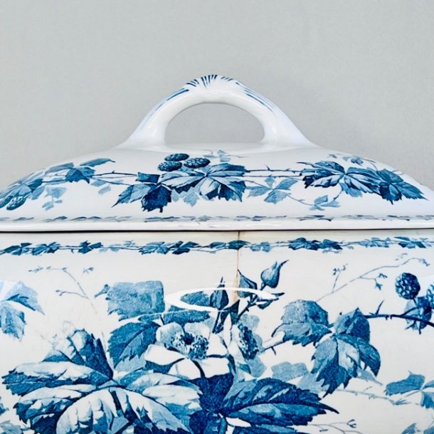 Terrin med lg - Brombeere fra Villeroy &amp; Boch